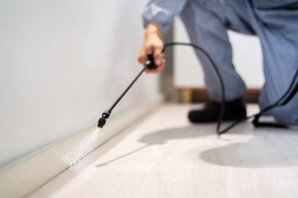 Licensed Mosquito Control service in Ann Arbor, MI - Show Me Pest Control