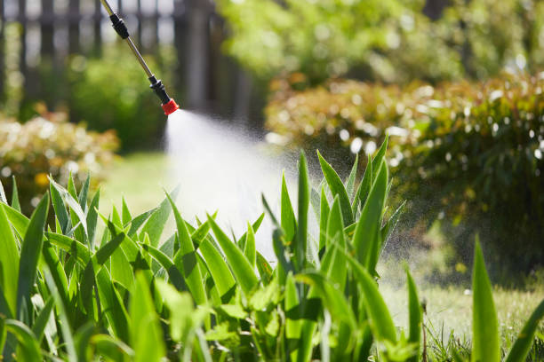 24/7 Emergency Mosquito Control experts in Ann Arbor, MI