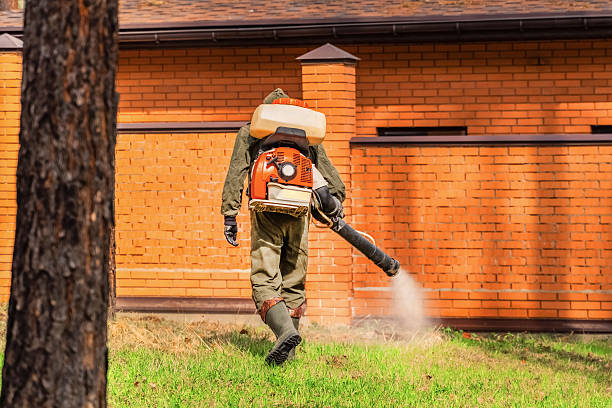 Top rated local Mosquito Control specialists in Ann Arbor, MI